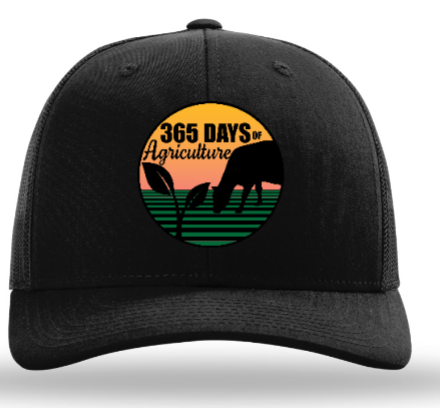 365 Days Brand Caps