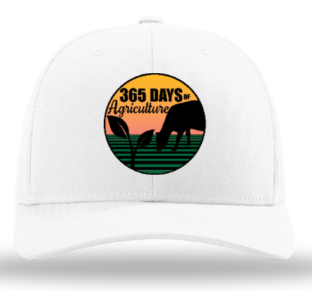 365 Days Brand Caps