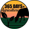 365 Days Brand Stickers