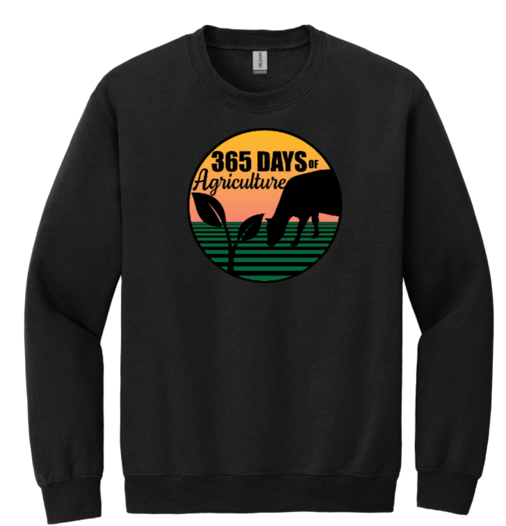 365 Days Brand Crew Necks