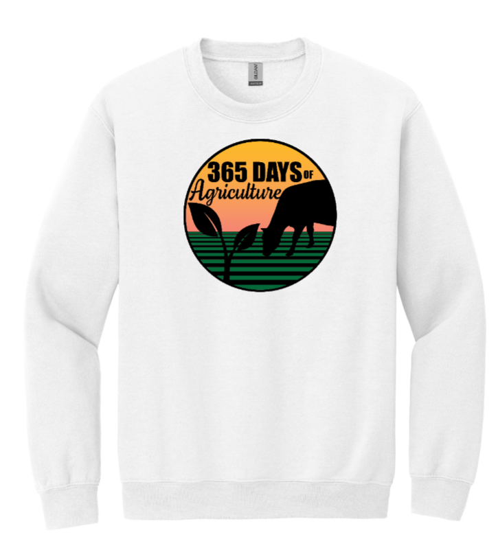 365 Days Brand Crew Necks